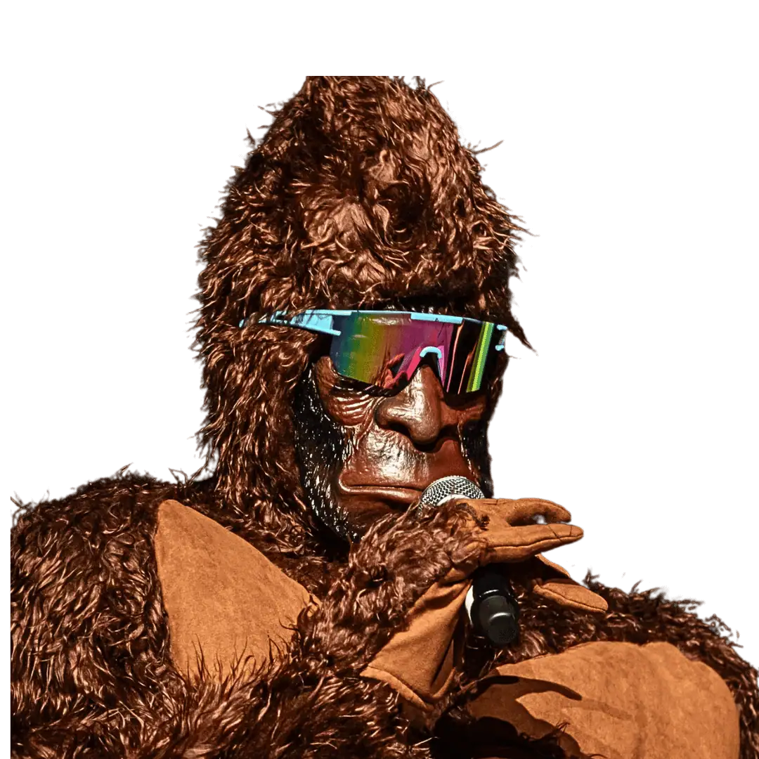 The Masked Investor